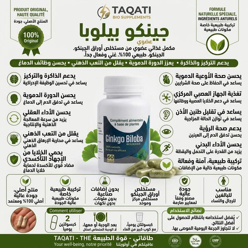 جينكو بيلوبا بريميوم